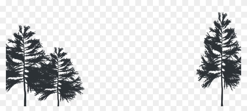 Christmas Tree , Png Download - Christmas Tree, Transparent Png ...