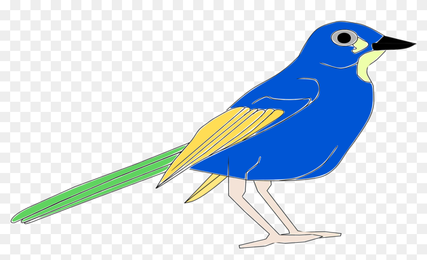 Bluejay Drawing Logo Blue Jays Pajaro Clipart Hd Png Download 1687x750 Pinpng