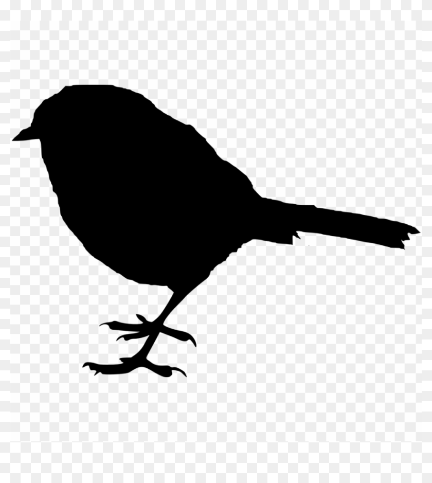 Free Png Bird Silhouette Png Images Transparent - Portable Network ...