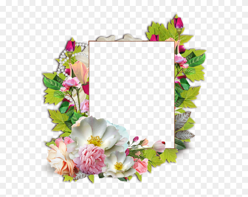 Page Borders Design, Border Design, Butterfly Frame, - กรอบ รูป ลาย ...