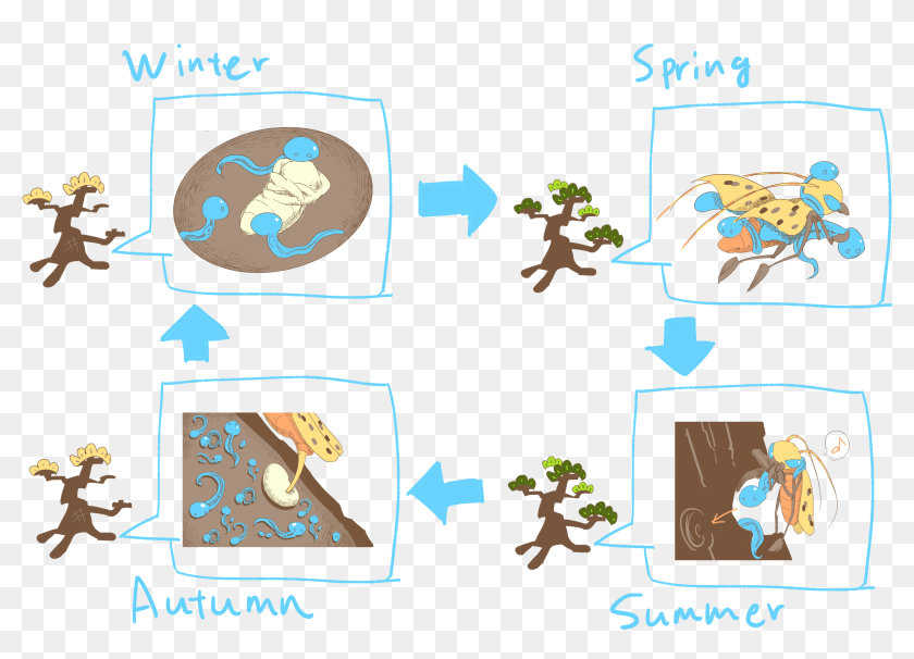 Figure 3 The Life Cycle Of B - Cartoon, HD Png Download - 4092x2893 ...