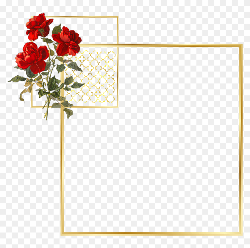 #frame #red #gold #golden #rose #simple #اطار #اطارات - Floribunda, Hd 