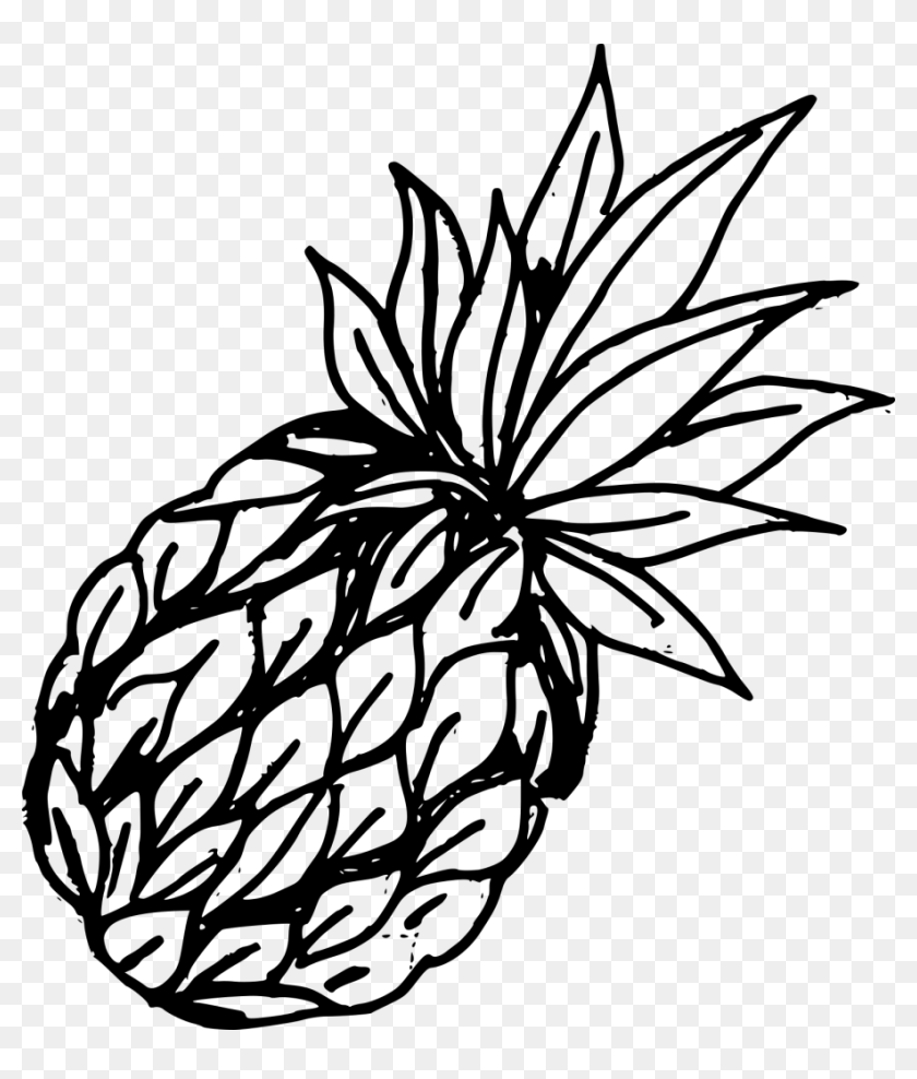 Drawing It Pineapple - Pineapple Drawing, HD Png Download - 907x1024 ...