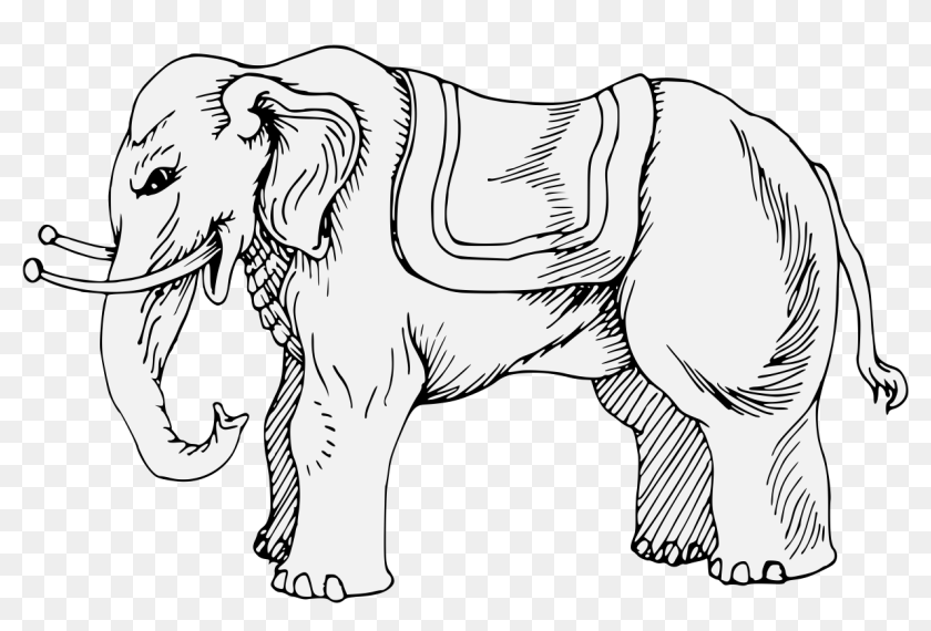 Details, Png - Heraldry Rampant Elephant, Transparent Png - 1237x787 ...