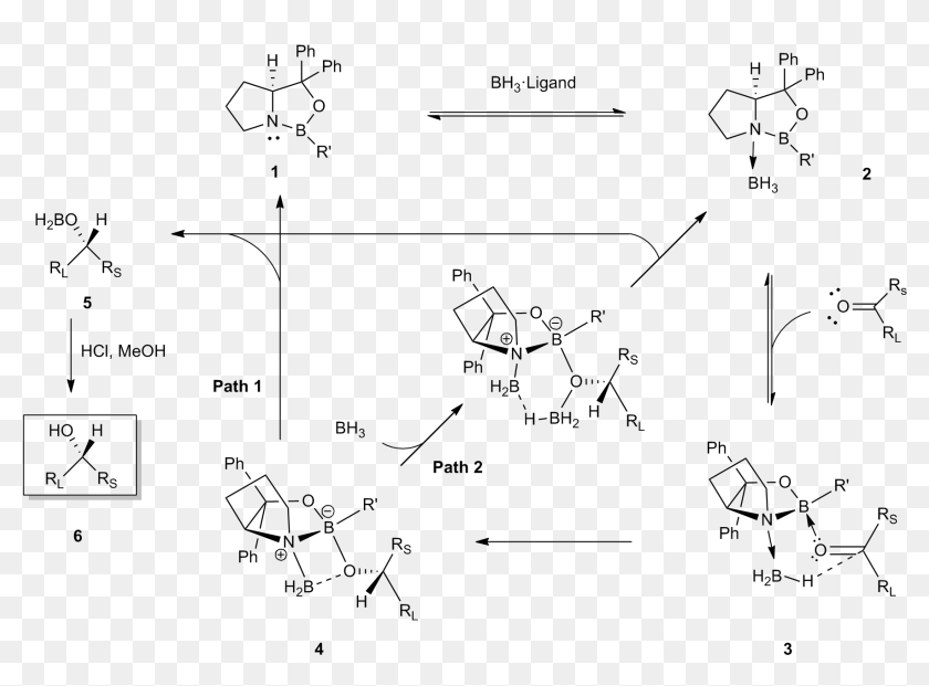 Chem Draw Mechanism Ts Cbs Reduction Hd Png Download