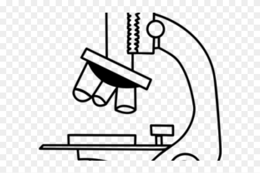 Микроскопа рисунок для 5. Микроскоп без подписей. Микроскоп рисунок для срисовки. Микроскоп рисунок легкий. Рисунок микроскопа без подписей.