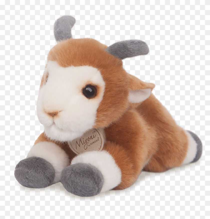 baby goat teddy