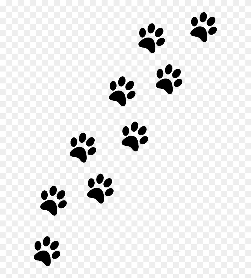 Cat Paw SVG Cut File, Paw Print SVG Design | ubicaciondepersonas.cdmx ...