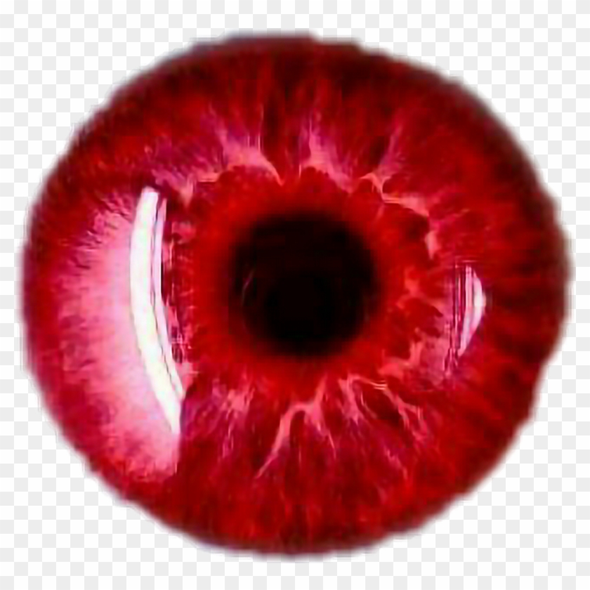 Ojo Sticker - 9 Rarest Eye Colors In The World, HD Png Download ...