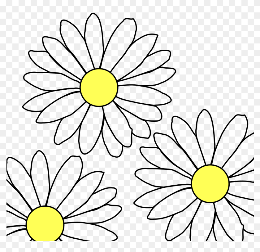 How To Set Use 3 Daisies Svg Vector - Flower Outline, HD Png Download