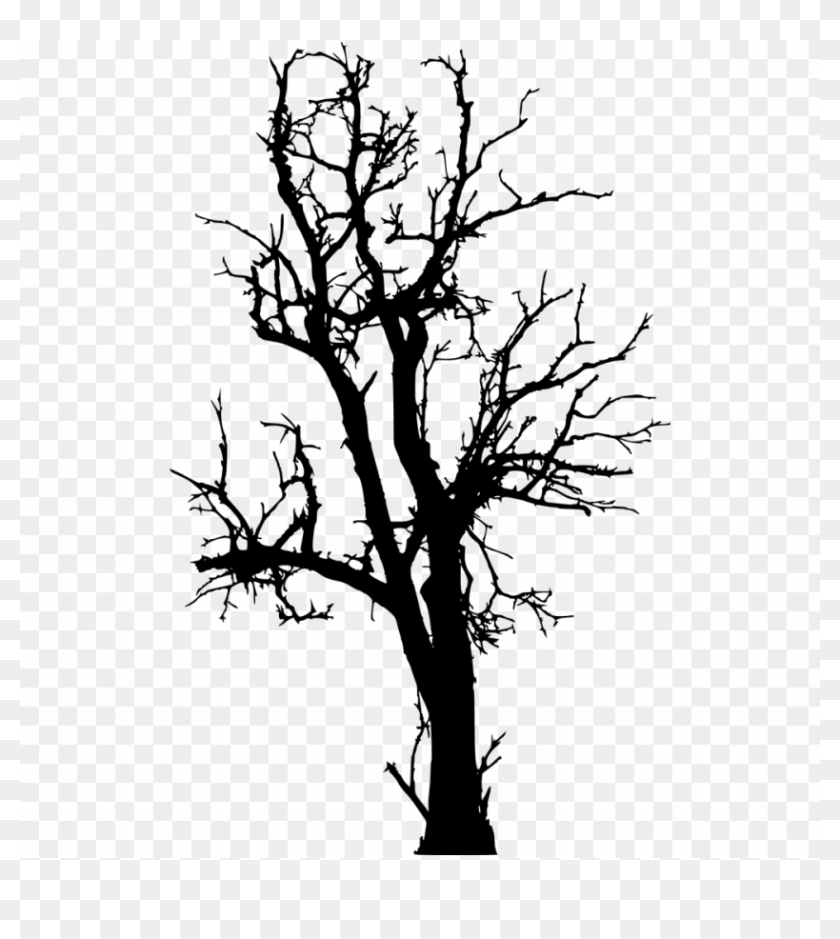 Free Png Dead Tree Silhouette Png Images Transparent - Dead Tree 