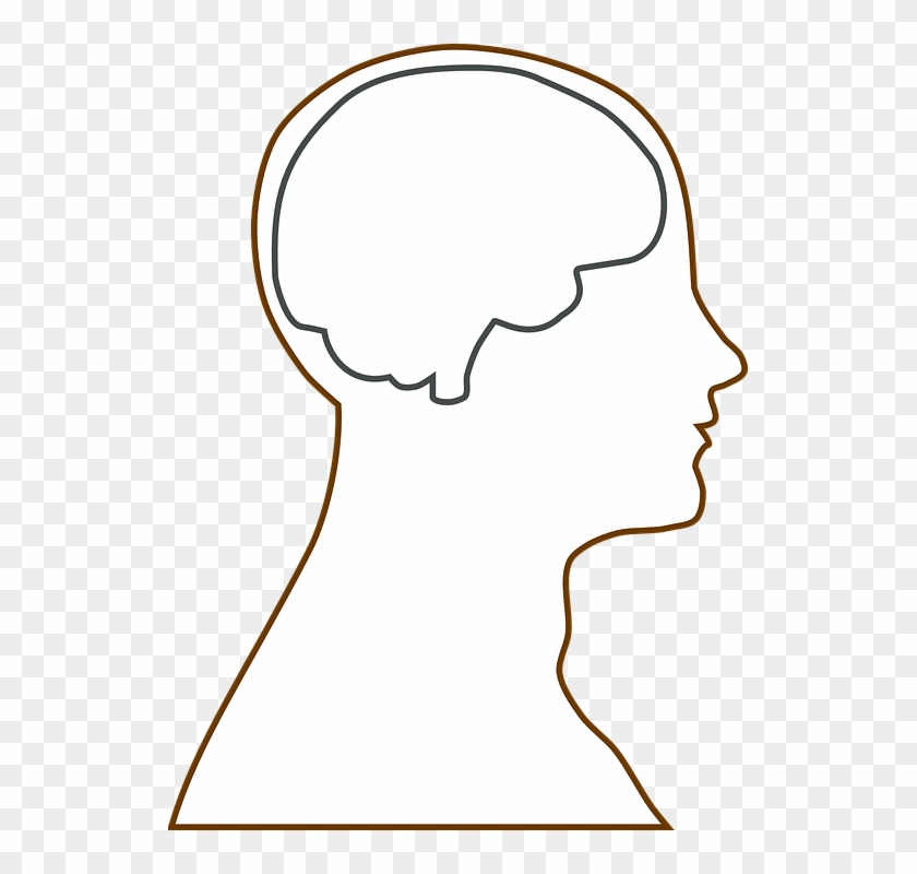 Brain In Head Clipart Png - Head Outline, Transparent Png - 531x720 ...