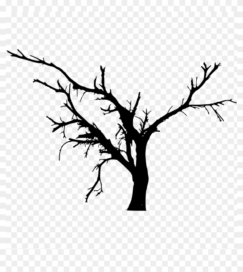 Free Png Simple Bare Tree Silhouette Png Images Transparent - Tree ...