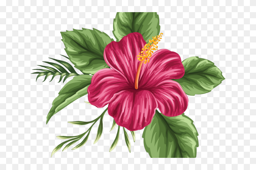 Hibiscus Clipart Moana Free Clip Art Stock Png Moana Hibiscus Flower With Leaves Transparent Png 640x480 Pinpng