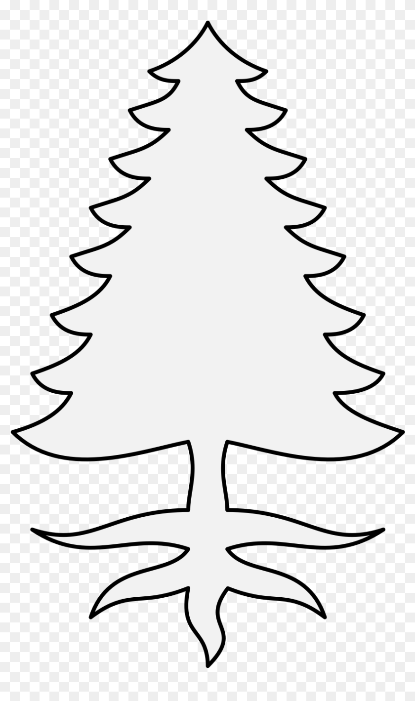 Details, Png, Svg - Colorado Spruce, Transparent Png - 881x1424 ...