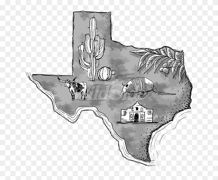 Texas State Interest - Drawing, HD Png Download - 675x675 (#3217486