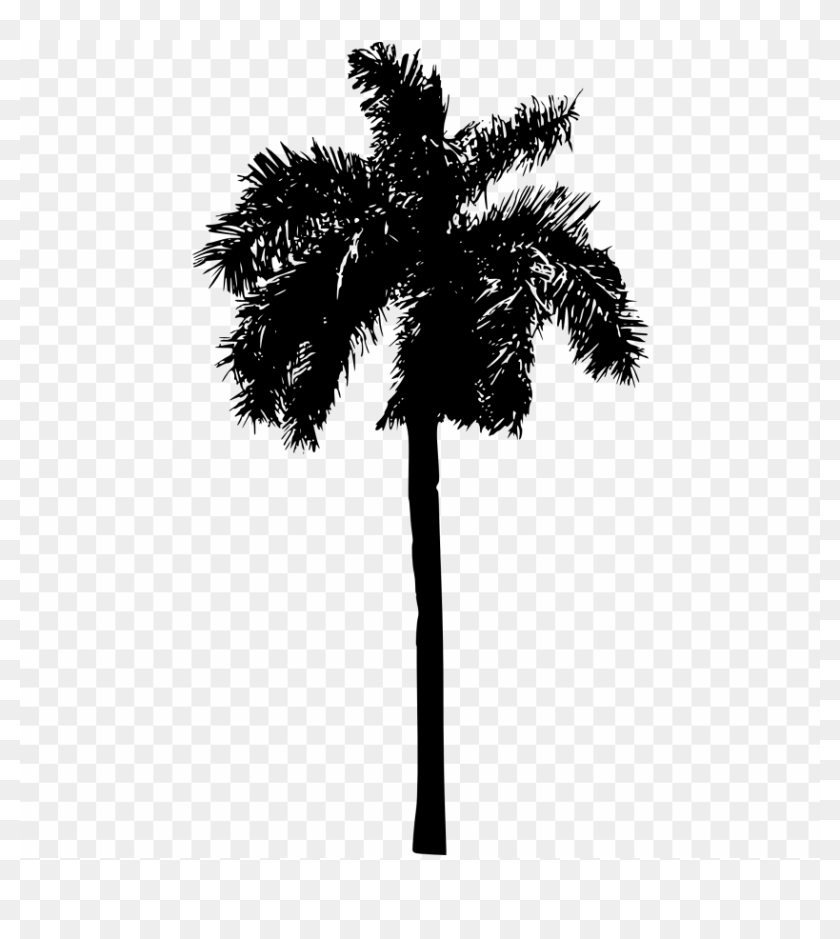 Free Png Palm Tree Png - Png Palm Tree Silhouette, Transparent Png ...