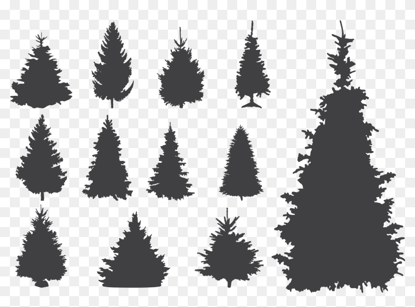 Sapin Silhouette, HD Png Download - 1400x980 (#3305142) - PinPng