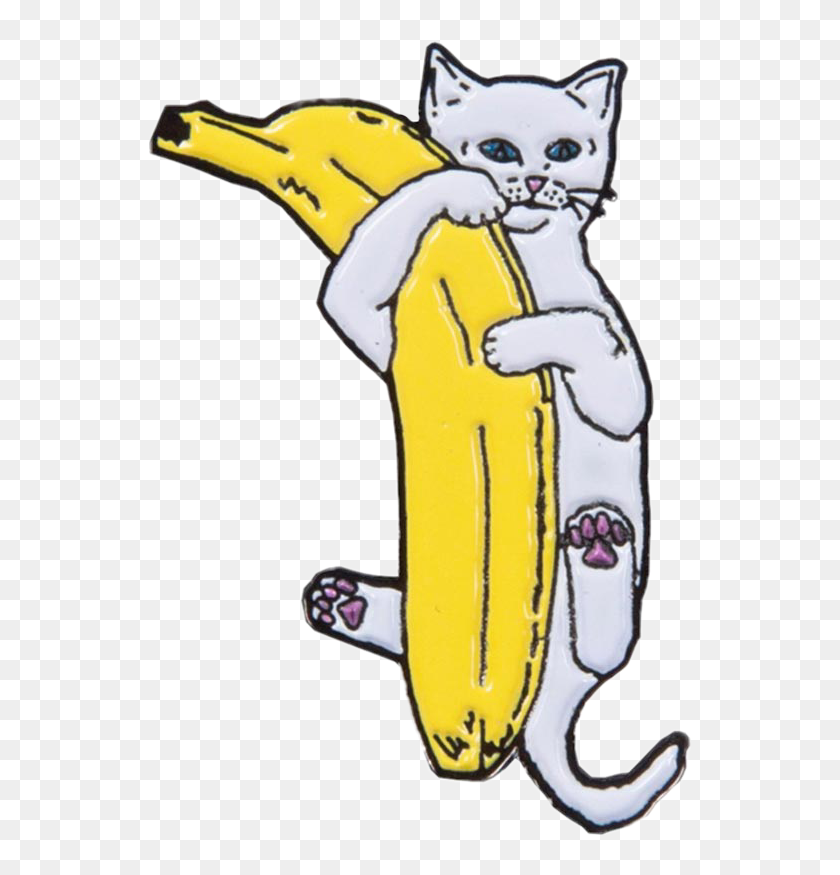 Banana cat. Кошка и банан. Банановая кошка. Котенок в банане. Кошка с бананом арт.