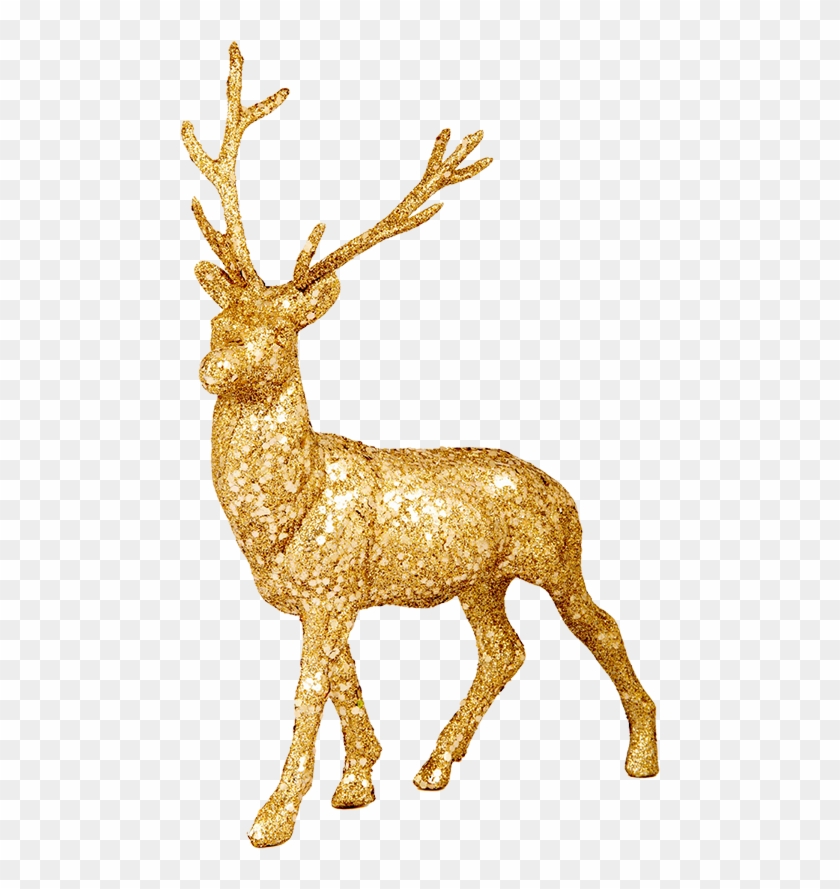 Reindeer Png, Transparent Png - 591x886 (#342526) - PinPng