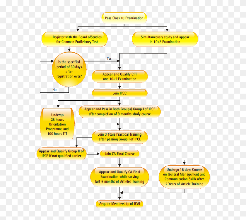 Ca Course Flowchart - Become Ca In India, HD Png Download - 646x693 ...