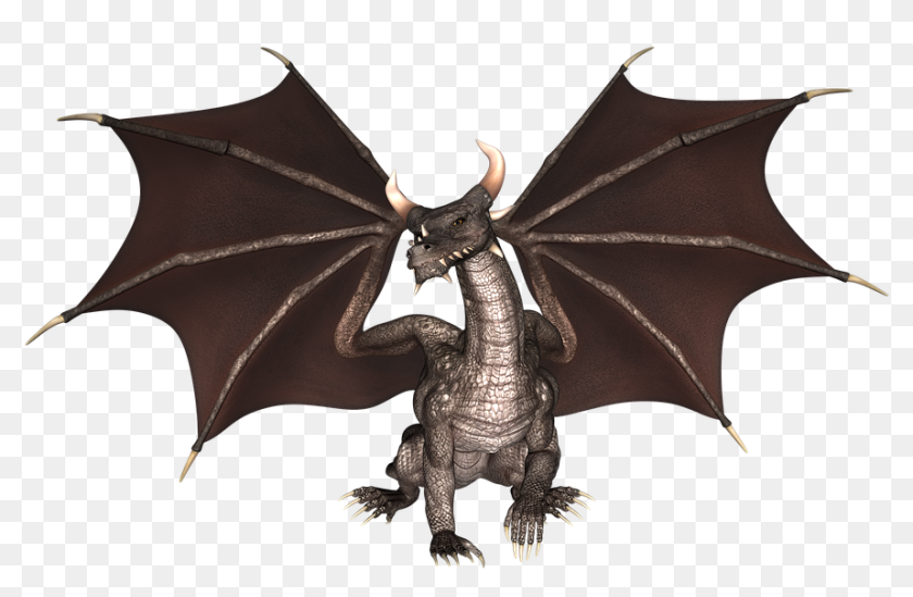 Fire Dragon Png - Dragon Genetics, Transparent Png - 960x593 (#3550457 