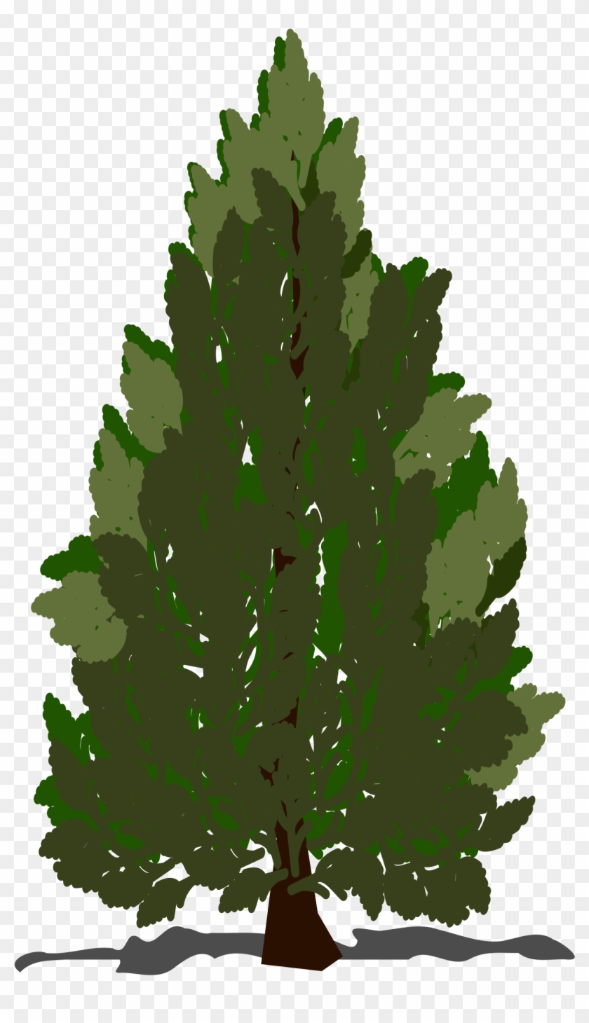 pine tree clip art transparent lodgepole pine clip art hd png download 2400x2400 367321 pinpng pinpng