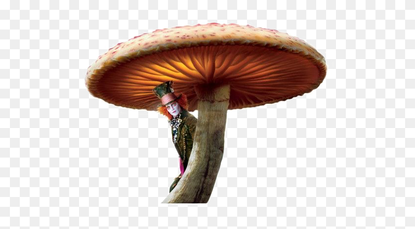 Toadstool Png Image - Alice In Wonderland Mushroom Png, Transparent Png ...