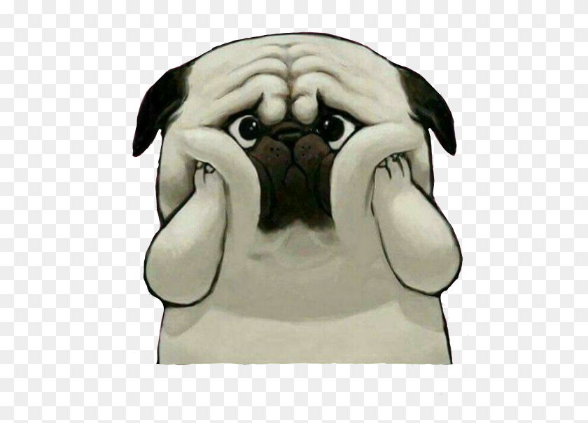 #pug #pugs #dog #perro #triste #pets & Animals #puppy - Con Chó Mặt Xệ ...