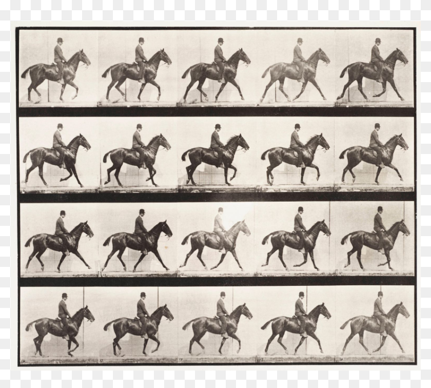 History Of Horse Racing, HD Png Download - 1903x802 (#3656584) - PinPng