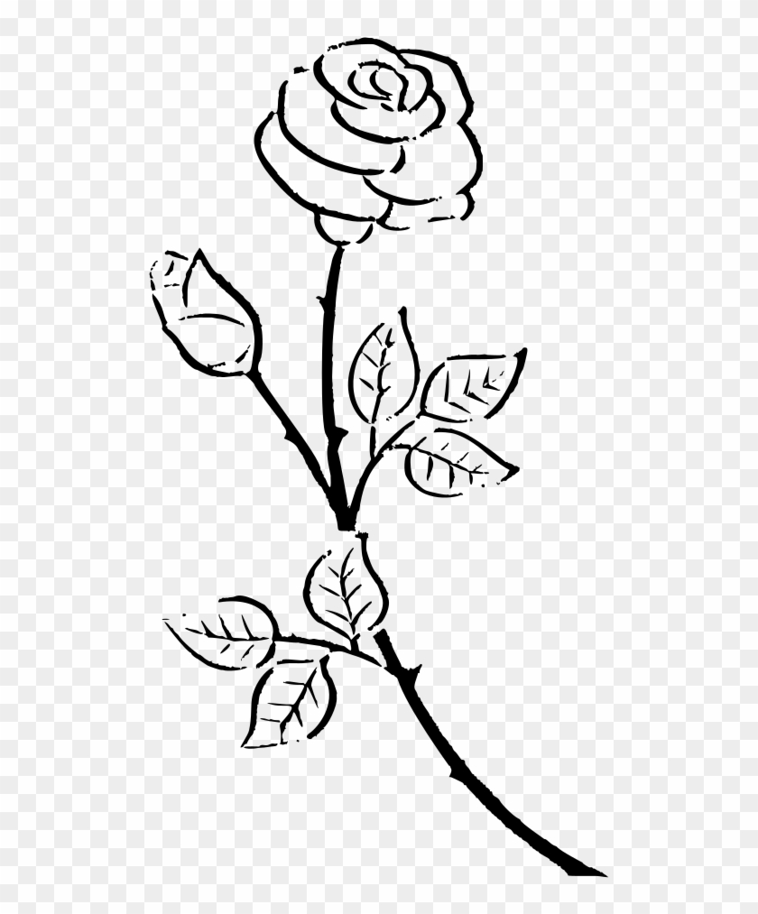 Контур для рисования розы
