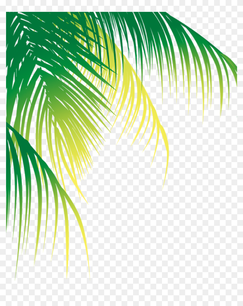 #ftestickers #greenery #tropicalplants #palmtree #border - Coconut Leaf ...