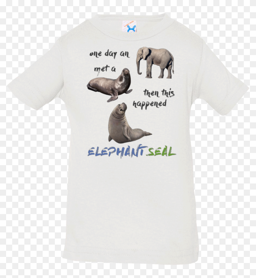 Funny Elephant Seals - Shirt, HD Png Download - 1155x1155 (#3898424