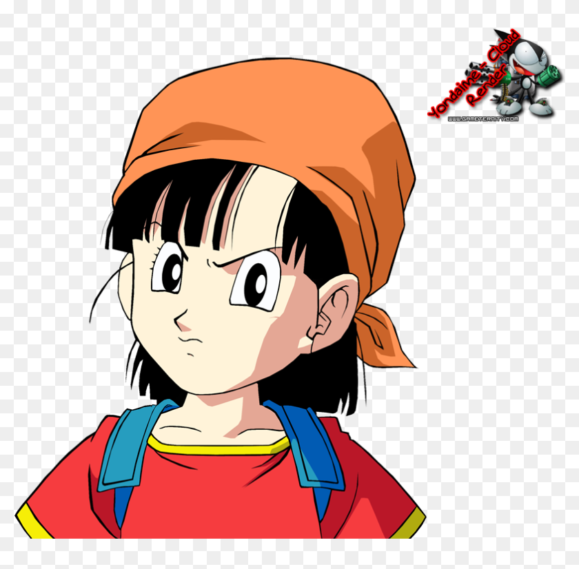 DBGT Pan. Пан Чан драгон бол. Dragon Ball gt Pan. Видель Dragon Ball gt.