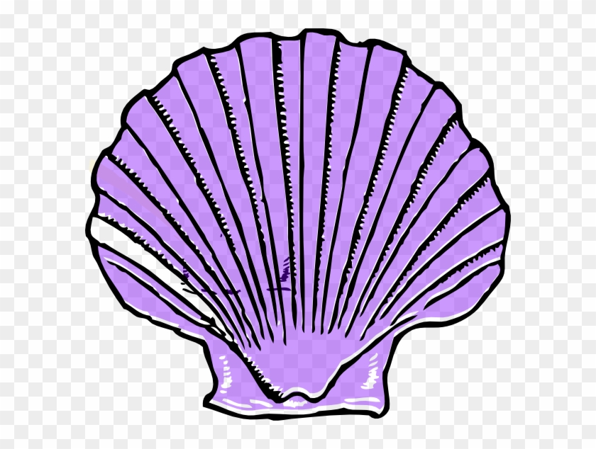 Shell Png Tumblr - Purple Shell Clipart, Transparent Png - 600x554 ...