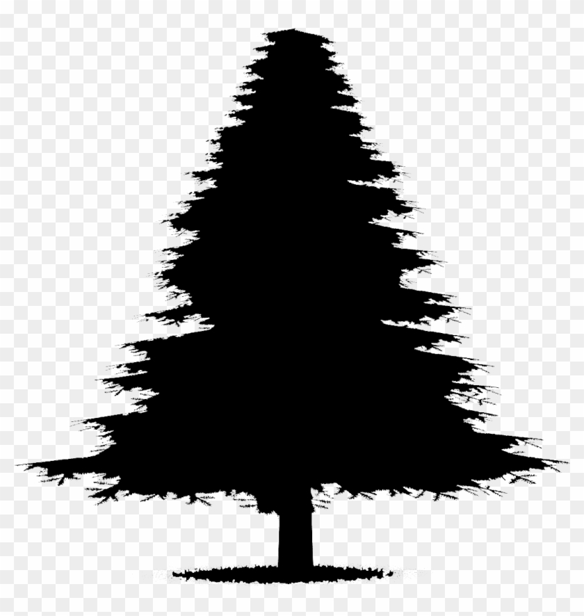 Fir Tree Silhouette - Christmas Tree, HD Png Download - 1200x1200 ...