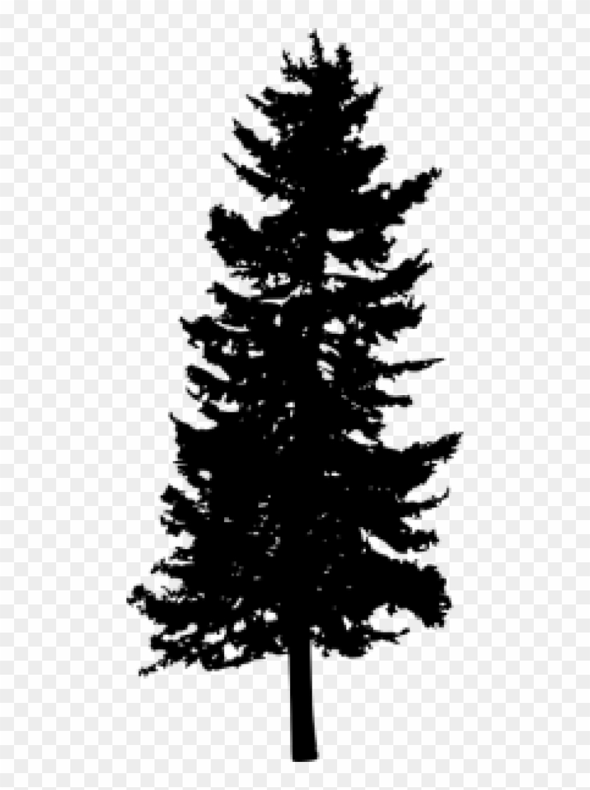 Free Png Pine Tree Silhouette Png Images Transparent - Christmas Tree ...