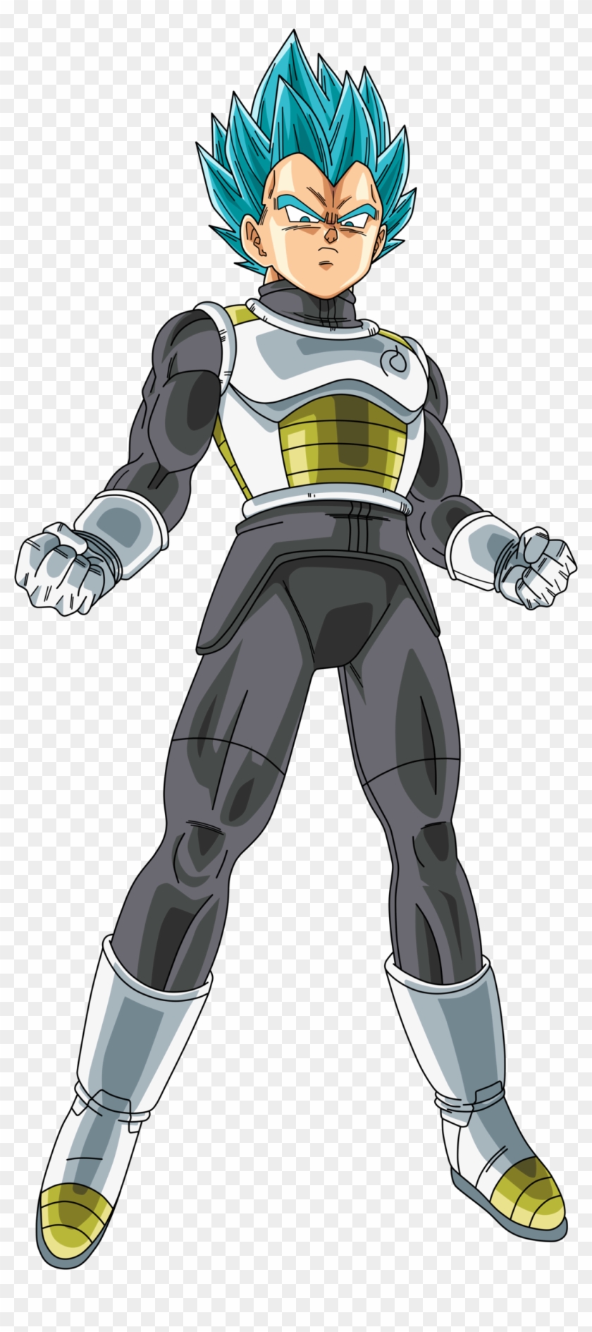 Vegeta Super Saiyan God Blue Png, Transparent Png - 1024x2254 (#414051 ...