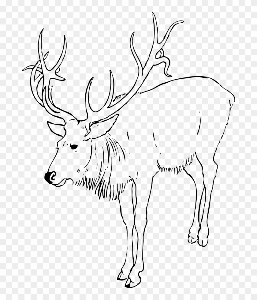 Reindeer Stag Clipart, HD Png Download - 696x900 (#417705) - PinPng