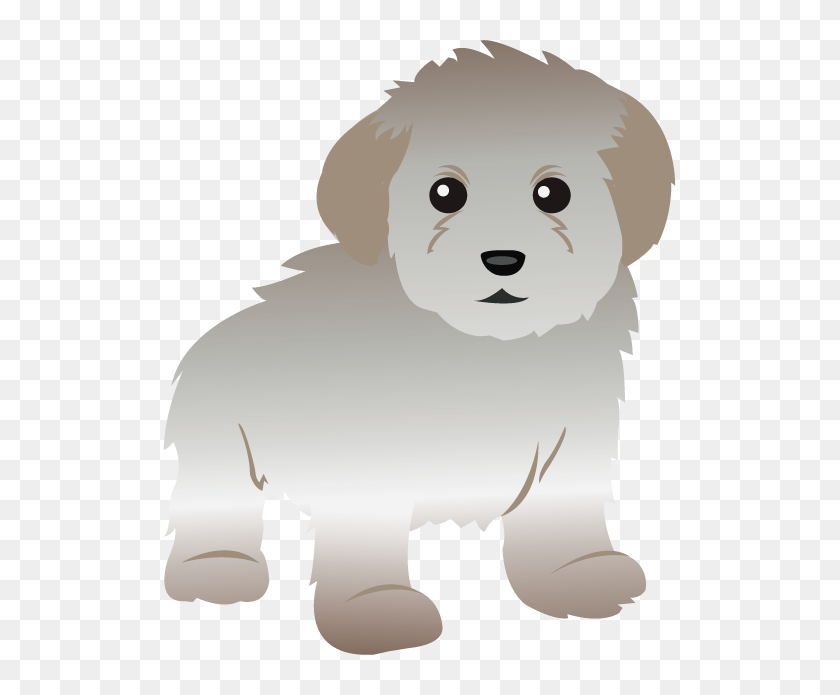 Toy Poodle Clip Art, HD Png Download - 513x615 (#4159420) - PinPng