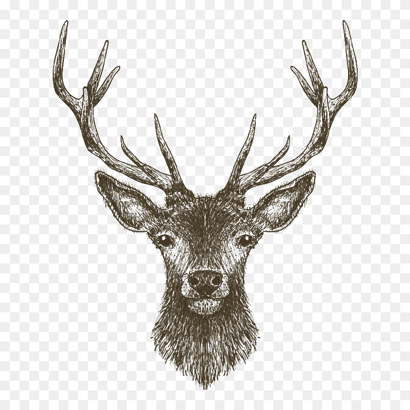 Glencullen Farm Deer Icon - Drawn Animals, HD Png Download - 786x786 ...