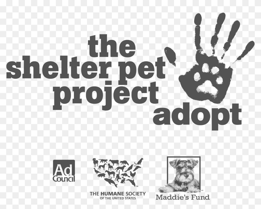 Pet проект. Pet Shelter logo. Проджект ПЭТ. Pet Shelter Horjul логотип.