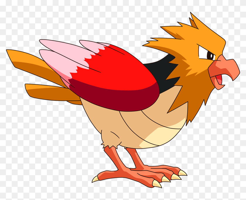 31,826,000 Exp - Spearow Fearow, HD Png Download - 800x605 (#4296967 ...