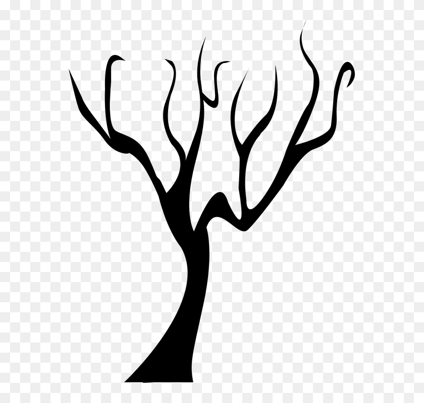 Tree Dead Tree Branch Black Winter Bare - Ramas De Arboles Negro, HD ...