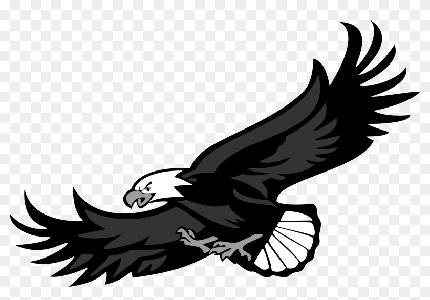 Png Aquila - Aquila Png, Transparent Png - 3409x2217 (#4362998) - PinPng