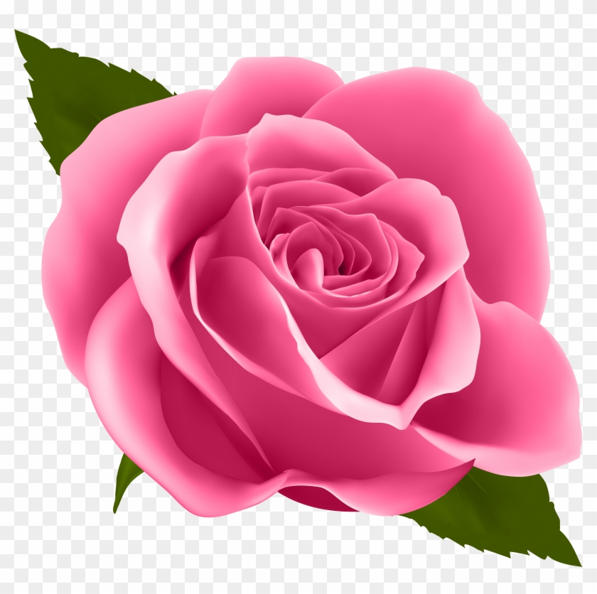 Pink Rose Png , Png Download, Transparent Png - 7869x7459 (#454839 ...