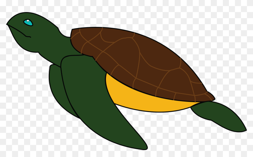 Green Sea Turtle Clipart , Png Download - Green Sea Turtle, Transparent ...