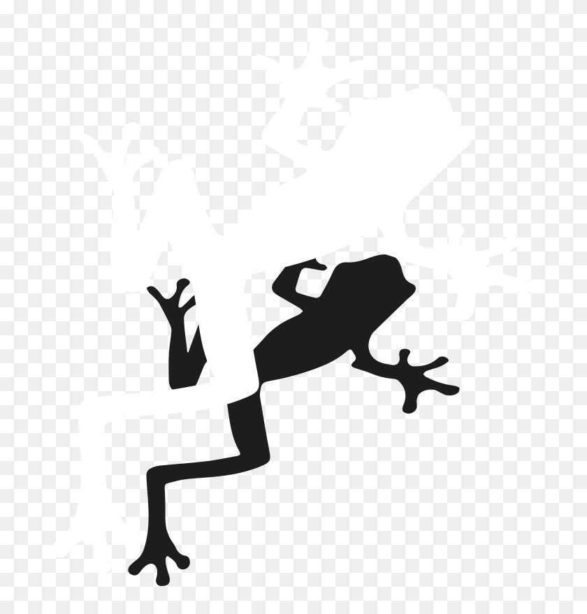 White Frog Shadow - Blue Frog, Hd Png Download - 723x800 (#4616865 