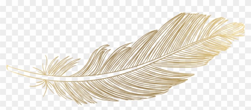 Ostrich Feather PNG Transparent Images Free Download, Vector Files