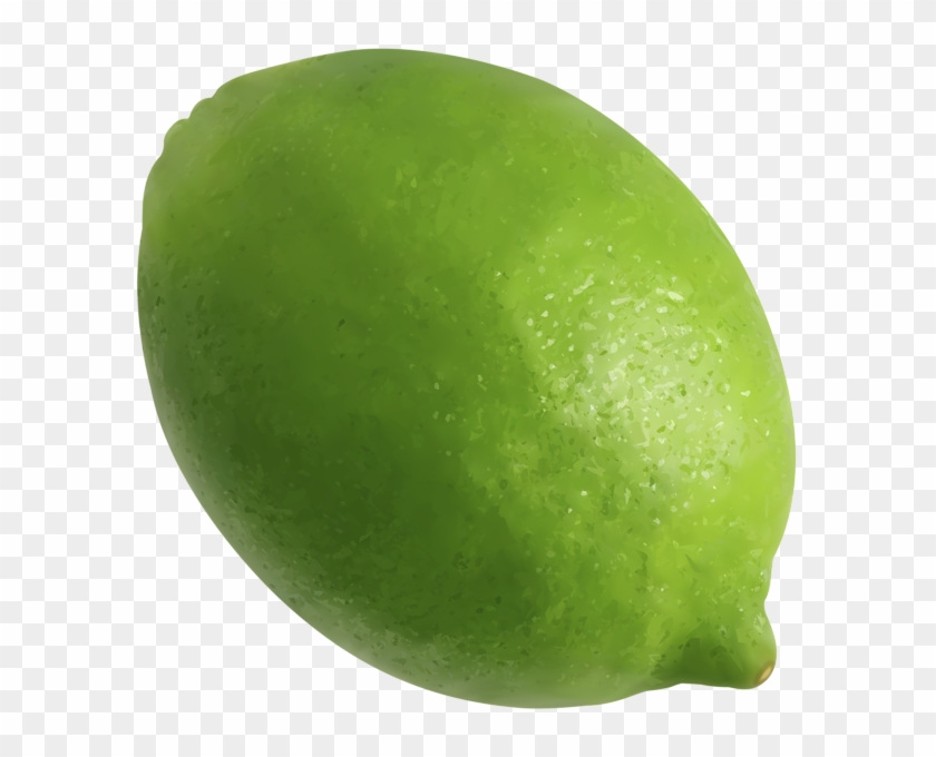 Lime Png Clip Art Image - Seedless Fruit, Transparent Png - 599x600 ...